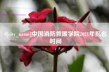 嘉鱼中国消防救援学院2021年报名时间