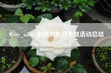嘉鱼全国消防日主题活动总结