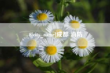 嘉鱼成都 消防