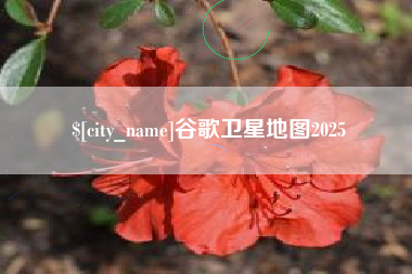 嘉鱼谷歌卫星地图2025