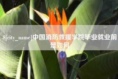 嘉鱼中国消防救援学院毕业就业前景如何