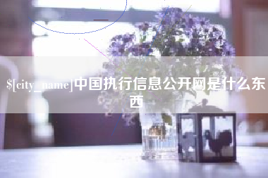 嘉鱼中国执行信息公开网是什么东西