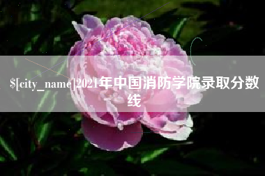 嘉鱼2021年中国消防学院录取分数线