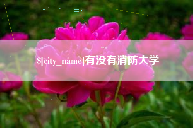 嘉鱼有没有消防大学