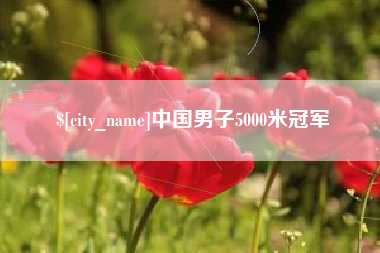 嘉鱼中国男子5000米冠军