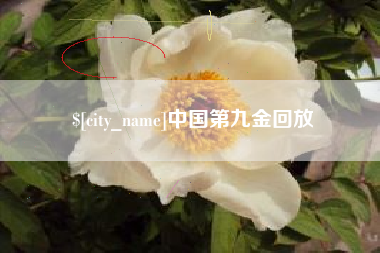 嘉鱼中国第九金回放