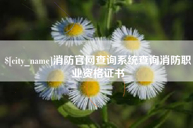 嘉鱼消防官网查询系统查询消防职业资格证书