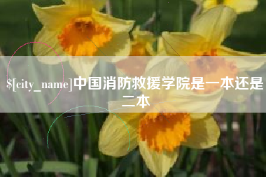 嘉鱼中国消防救援学院是一本还是二本