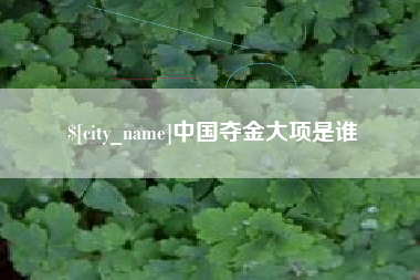 嘉鱼中国夺金大项是谁