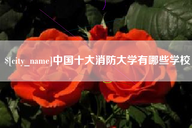 嘉鱼中国十大消防大学有哪些学校
