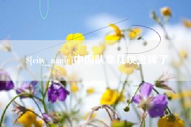 嘉鱼中国队拿几块金牌了