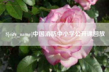 嘉鱼中国消防中小学公开课回放