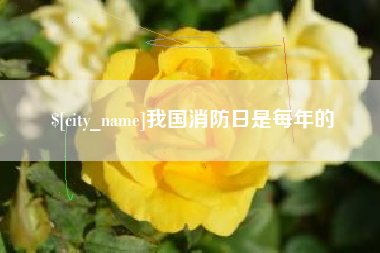 嘉鱼我国消防日是每年的