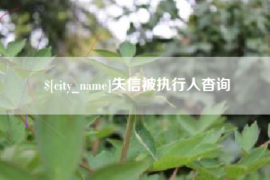嘉鱼失信被执行人杳询