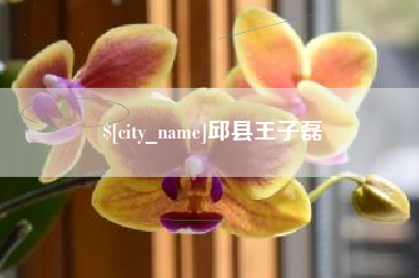 嘉鱼邱县王子磊