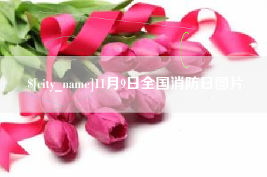 嘉鱼11月9日全国消防日图片
