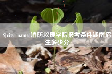 嘉鱼消防救援学院报考条件湖南招生多少分