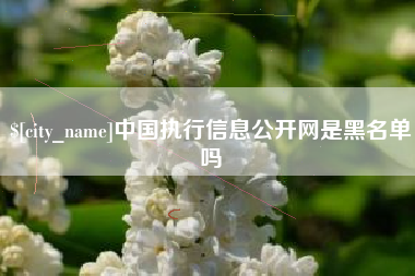 嘉鱼中国执行信息公开网是黑名单吗