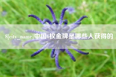 嘉鱼中国6枚金牌是哪些人获得的