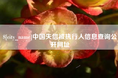 嘉鱼中国失信被执行人信息查询公开网址
