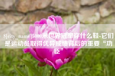 嘉鱼5000米世界冠军穿什么鞋-它们是运动员取得优异成绩背后的重要“功臣”