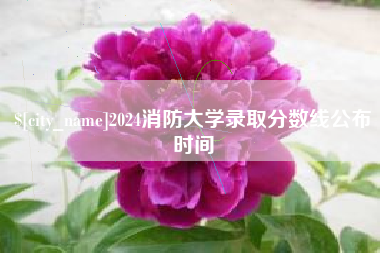 嘉鱼2024消防大学录取分数线公布时间