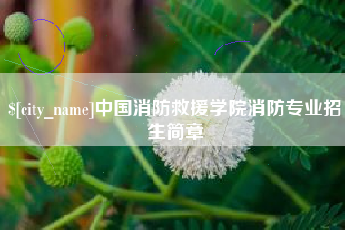 嘉鱼中国消防救援学院消防专业招生简章