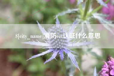嘉鱼消防ccc认证什么意思