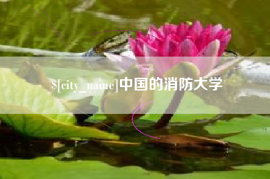 嘉鱼中国的消防大学