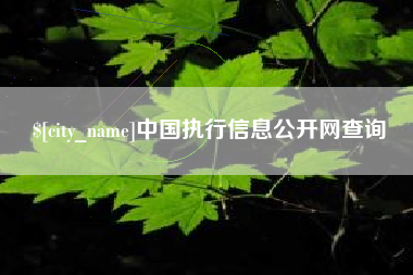 嘉鱼中国执行信息公开网查询