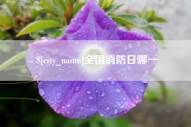 嘉鱼全国消防日哪一
