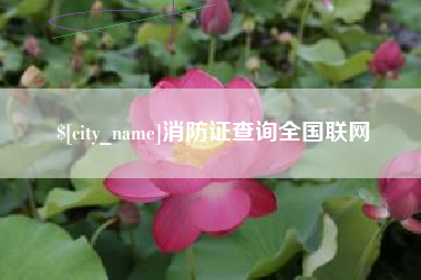 嘉鱼消防证查询全国联网