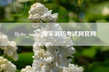 嘉鱼国家消防考试网官网