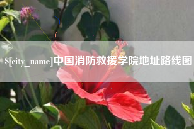 嘉鱼中国消防救援学院地址路线图