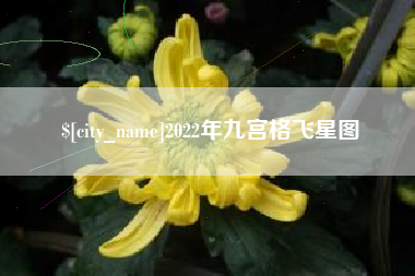 嘉鱼2022年九宫格飞星图
