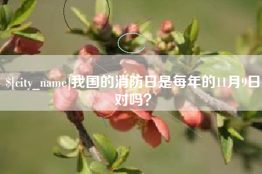 嘉鱼我国的消防日是每年的11月9日对吗？