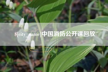 嘉鱼中国消防公开课回放
