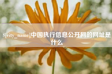 嘉鱼中国执行信息公开网的网址是什么