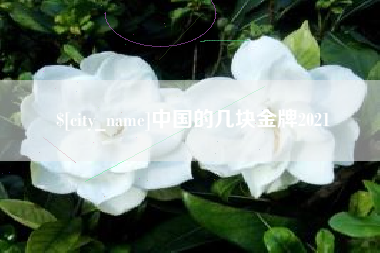 嘉鱼中国的几块金牌2021