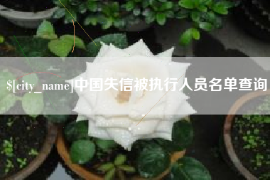 嘉鱼中国失信被执行人员名单查询