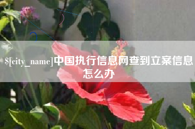 嘉鱼中国执行信息网查到立案信息怎么办