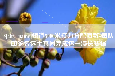 嘉鱼短道5000米接力分配圈数-每队由多名选手共同完成这一漫长赛程