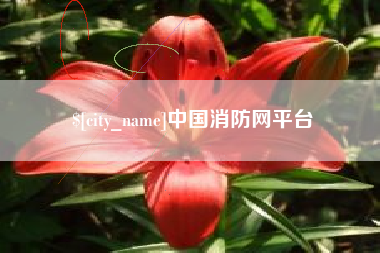 嘉鱼中国消防网平台