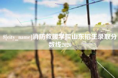 嘉鱼消防救援学院山东招生录取分数线2020