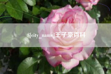 嘉鱼王子豪百科