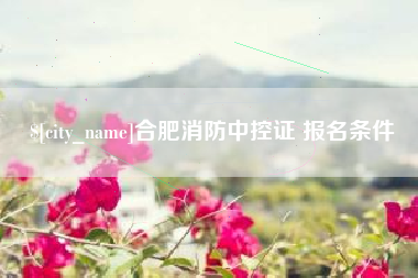嘉鱼合肥消防中控证 报名条件
