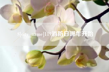 嘉鱼119消防日哪年开始