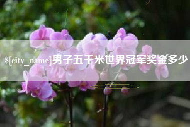 嘉鱼男子五千米世界冠军奖金多少