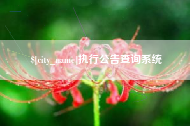 嘉鱼执行公告查询系统