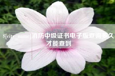 嘉鱼消防中级证书电子版查询多久才能查到